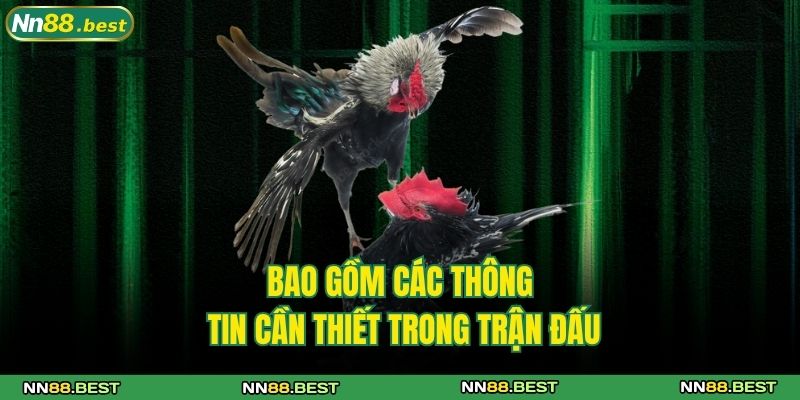 Luật Đá Gà Miền Bắc Chuẩn Trong Từng Trận Đấu Lớn Nhỏ 2 Bao gồm các thông tin cần thiết trong trận đấu