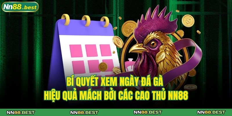 bí quyết xem ngày đá gà