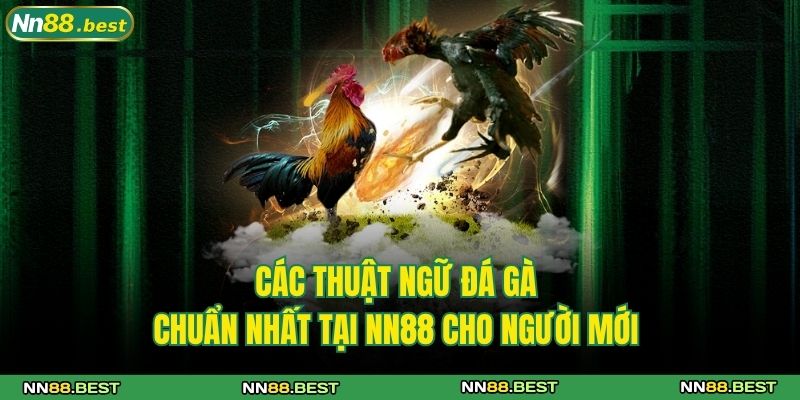 các thuật ngữ đá gà