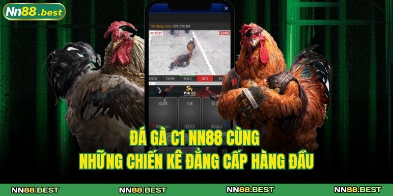 Đá gà C1 NN88