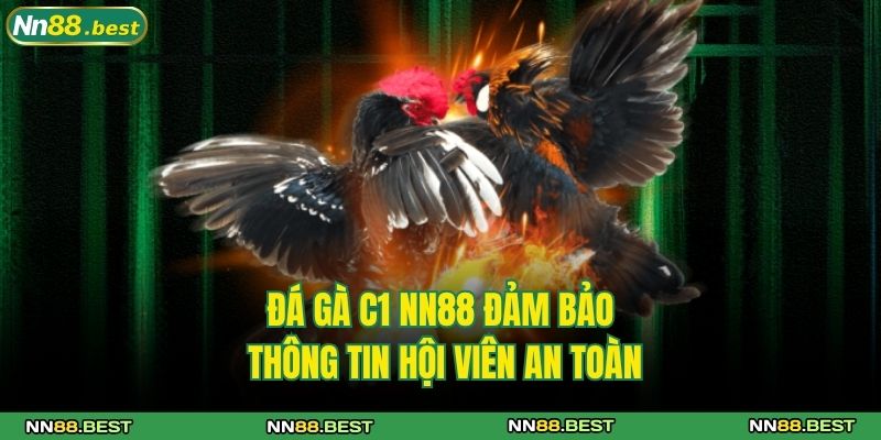 Đá Gà C1 NN88 Cùng Những Chiến Kê Đẳng Cấp Hàng Đầu 3 Đá gà C1 NN88 đảm bảo thông tin hội viên an toàn
