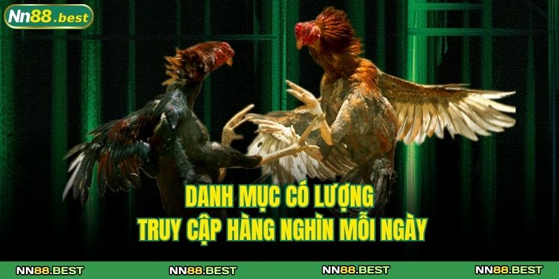 Đá Gà C1 NN88 Cùng Những Chiến Kê Đẳng Cấp Hàng Đầu 2 Danh mục có lượng truy cập hàng nghìn mỗi ngày