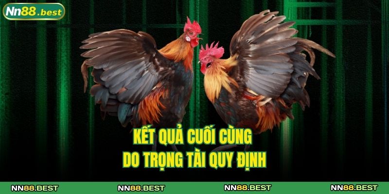 Luật Đá Gà Miền Bắc Chuẩn Trong Từng Trận Đấu Lớn Nhỏ 4 Kết quả cuối cùng do trọng tài quy định