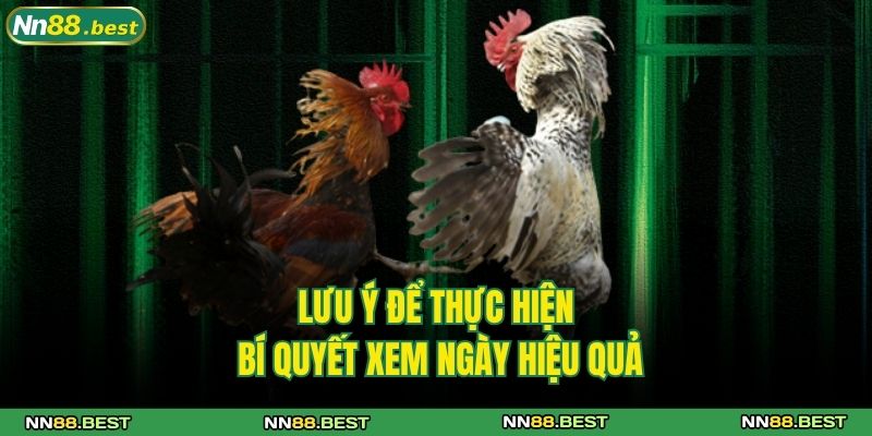 Bí Quyết Xem Ngày Đá Gà Hiệu Quả Mách Bởi Các Cao Thủ NN88 3 Lưu ý để thực hiện bí quyết xem ngày hiệu quả