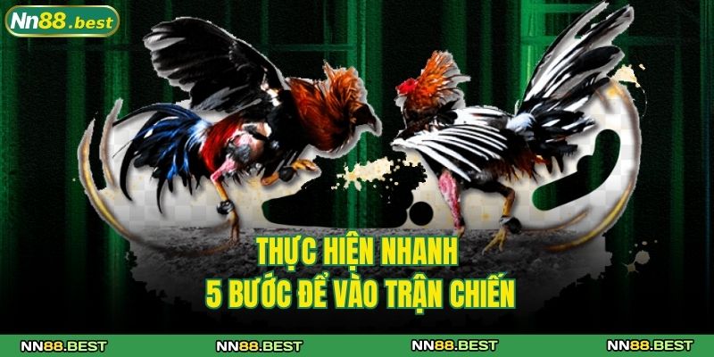 Đá Gà C1 NN88 Cùng Những Chiến Kê Đẳng Cấp Hàng Đầu 4 Thực hiện nhanh 5 bước để vào trận chiến