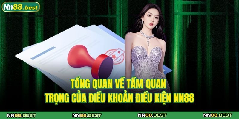Điều Khoản Và Điều Kiện NN88 1 Tổng quan về tầm quan trọng của điều khoản điều kiện NN88